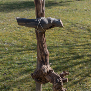 Foto Jack Haijes